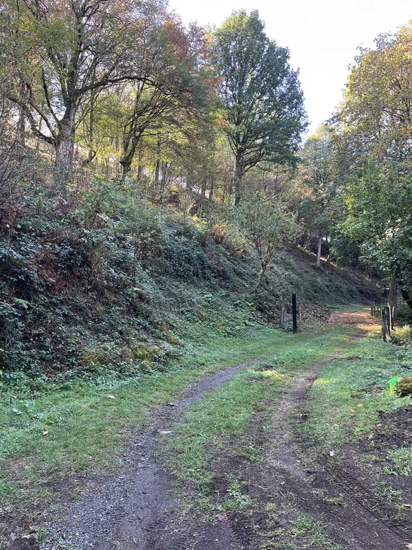 Départ d’un chemin de terre et d’herbe, au pied d’un talus boisé