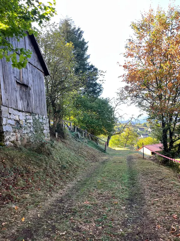 Chemin herbeux longeant une grange en bois sur un soubassement de pierre