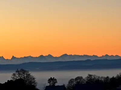 Lever du jour sur les Alpes, arbres en contre-jour au premier plan