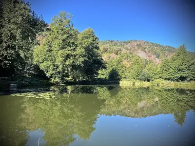 Reflets des arbres et de la colline sur l’eau calme de l’étang des Gentianes