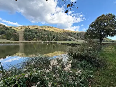 L’étang du Maerel bordé de fleurs blanches ; les prés et les versants boisés se reflètent dans l’eau