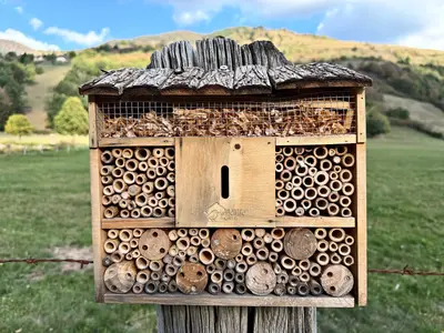 Hôtel à insectes en bois posé sur un poteau, au bord d’un pré